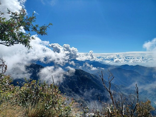 【台中和平】陡峭岩壁對懼高者很挑戰。 鳶嘴山步道封面圖