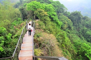 龍過脈森林步道