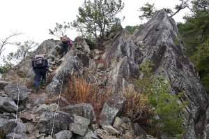東卯山東南稜串德芙蘭步道