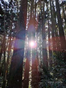 內湖 基哥的頭像