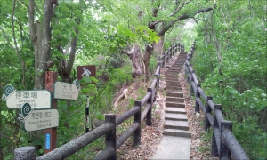 大社觀音山步道