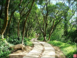 鳳崎落日步道