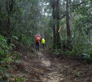 枋山坑古道
