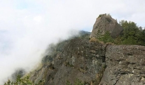 塔山步道(大塔山)