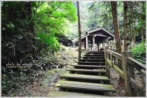 嘉義梅山鄉竹坑溪步道