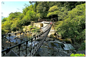陽明山新完工新景點 草山觀瀑吊橋 最順路的走法 猴崁古道 青春嶺 大屯瀑布