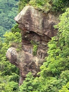 南勢坑山、鑽石峰、人面頭山、獅公髻尾山O走