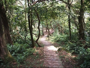 紫微聖母環山步道