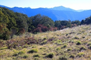 脈脈山、雞子山連走