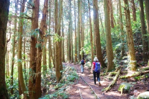 加里山登山步道