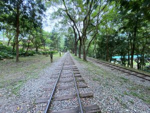 林田山林業文化園區步道