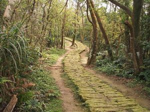 火焰山縱走大暖尖山(承暖步道)