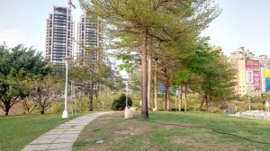 文心森林公園步道