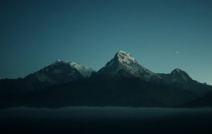 Ann的頭像