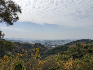 2023-02-04 大坑9、10號步道