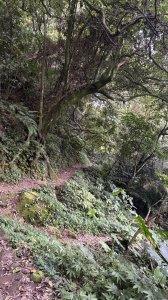 溪洲山
