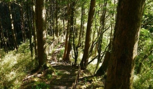 對高岳步道