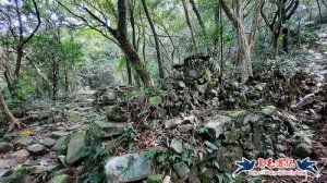 【基隆】暖東峽谷、消墾嶺古道、東勢大崙