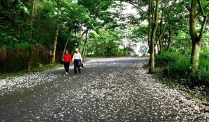 藤山步道