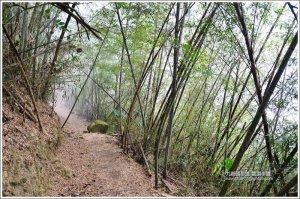 雲頂步道