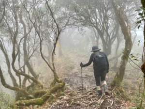 奮鬥在北插天山的路上