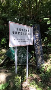 烏來桂山路華林-四崁水山-大桶山東峰-桂山路206號-桂山路-華林