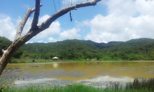 東源森林遊樂區哭泣湖步道