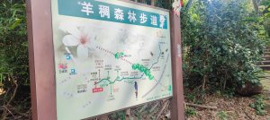 羊稠森林步道