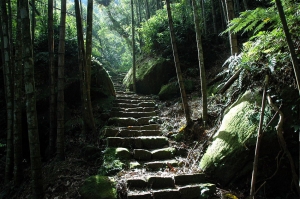 四大天王山步道