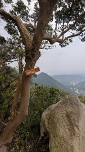 113.12.28小鷹尖-關山嶺-五八山-凌雲尖-龍女岩之旅