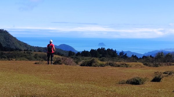 陽明山坪頂古圳道上北五指山經石梯嶺竹篙山下瑪礁古道O型2714152