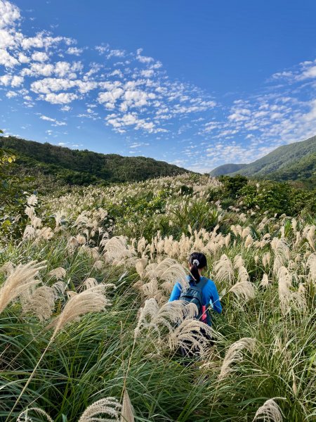 黃金十稜 龍洞稜 和美山登草山