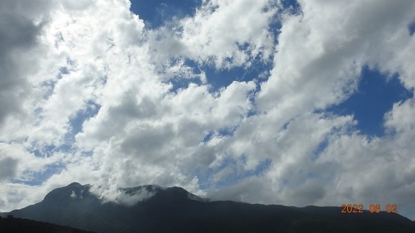 雲山水花鳥蝶 - 6/2陽明山再見雲海1724210
