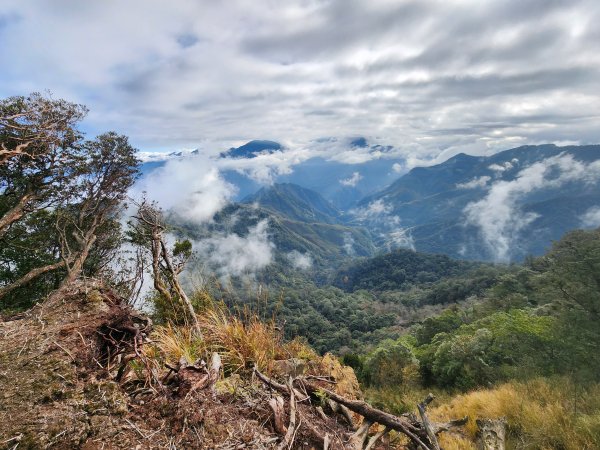 20250112貴妃山那結山外鳥嘴山蓮包山O型