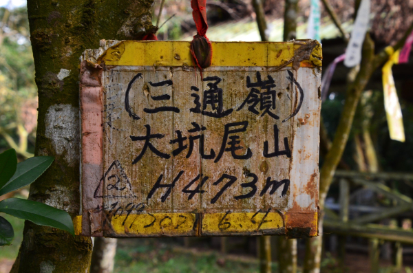 2024-11-22 : 大坑尾山
