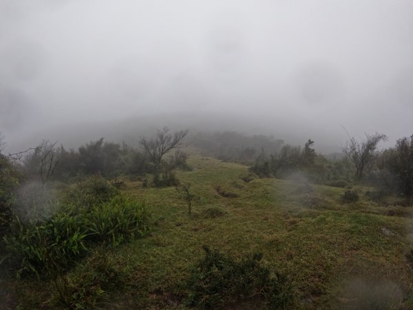 頂山石梯嶺步道周遭十個山頭 111.1.111578893
