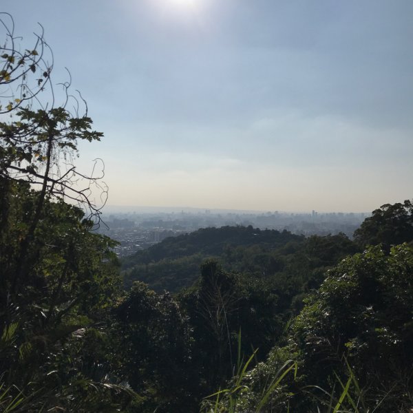 大坑9、9-1、10號步道1959210