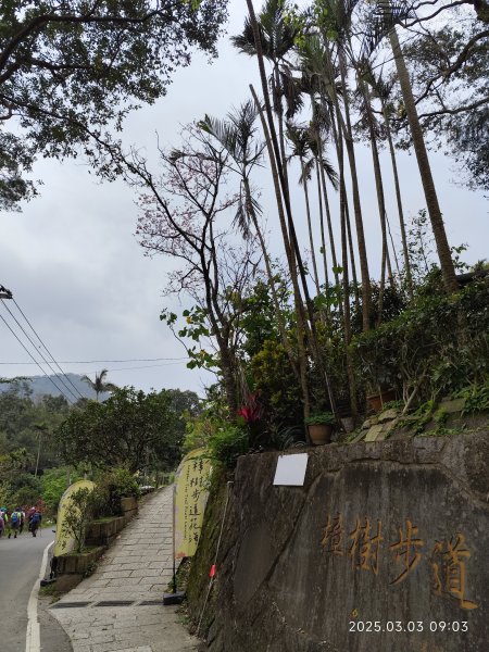 【臺北大縱走 7-1】樟山寺→樟樹步道→指南宮貓空親山步道→壺穴步道→茶展中心步道→指南路三段2726603