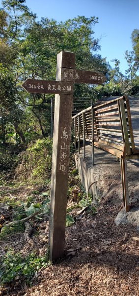 烏山縱走2432723