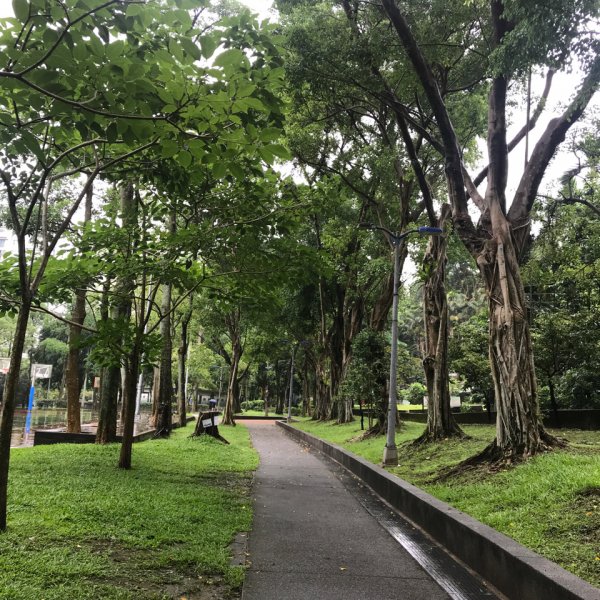 《台北大穀東+尋寶趣》象山、信義區、松菸2237752