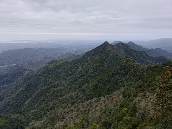 仙山2042471