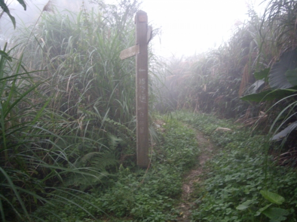 【台南】梅峰、竹子尖山