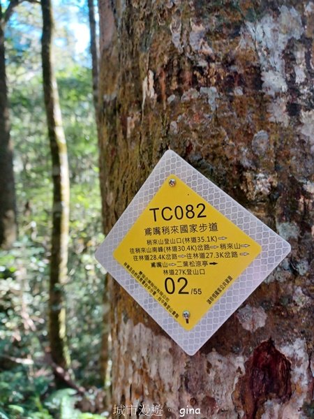 【台中和平】陡峭岩壁對懼高者很挑戰。 鳶嘴山步道2731711
