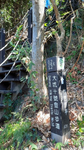 《台中》爬山買菜｜大坑步道10上9下202211131908902