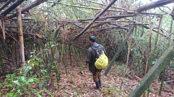 浪漫台三線：214公里的踏查之旅（11）──尋找老官道
