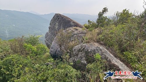 【新北市】新山夢湖步道驚現黑金剛