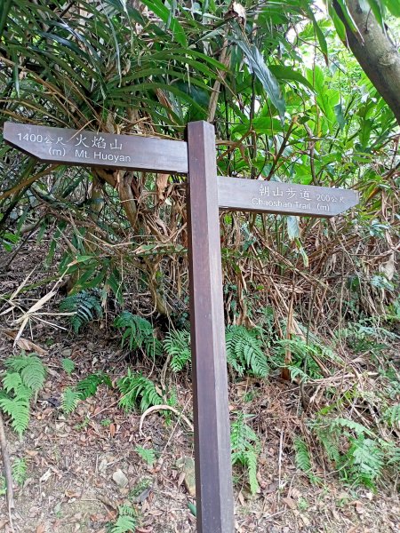 【小百岳集起來】#018 土城天上山 H430m1380885