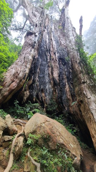 新竹尖石-內鳥嘴山2651370