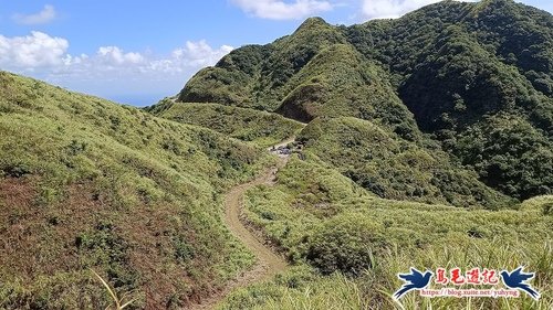 【新北市】金字碑古道牡丹山至黃金博物館