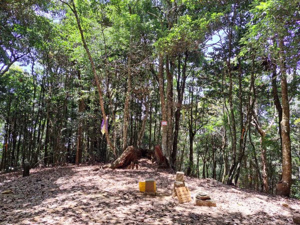 小出山(惠蓀林場上)20230416